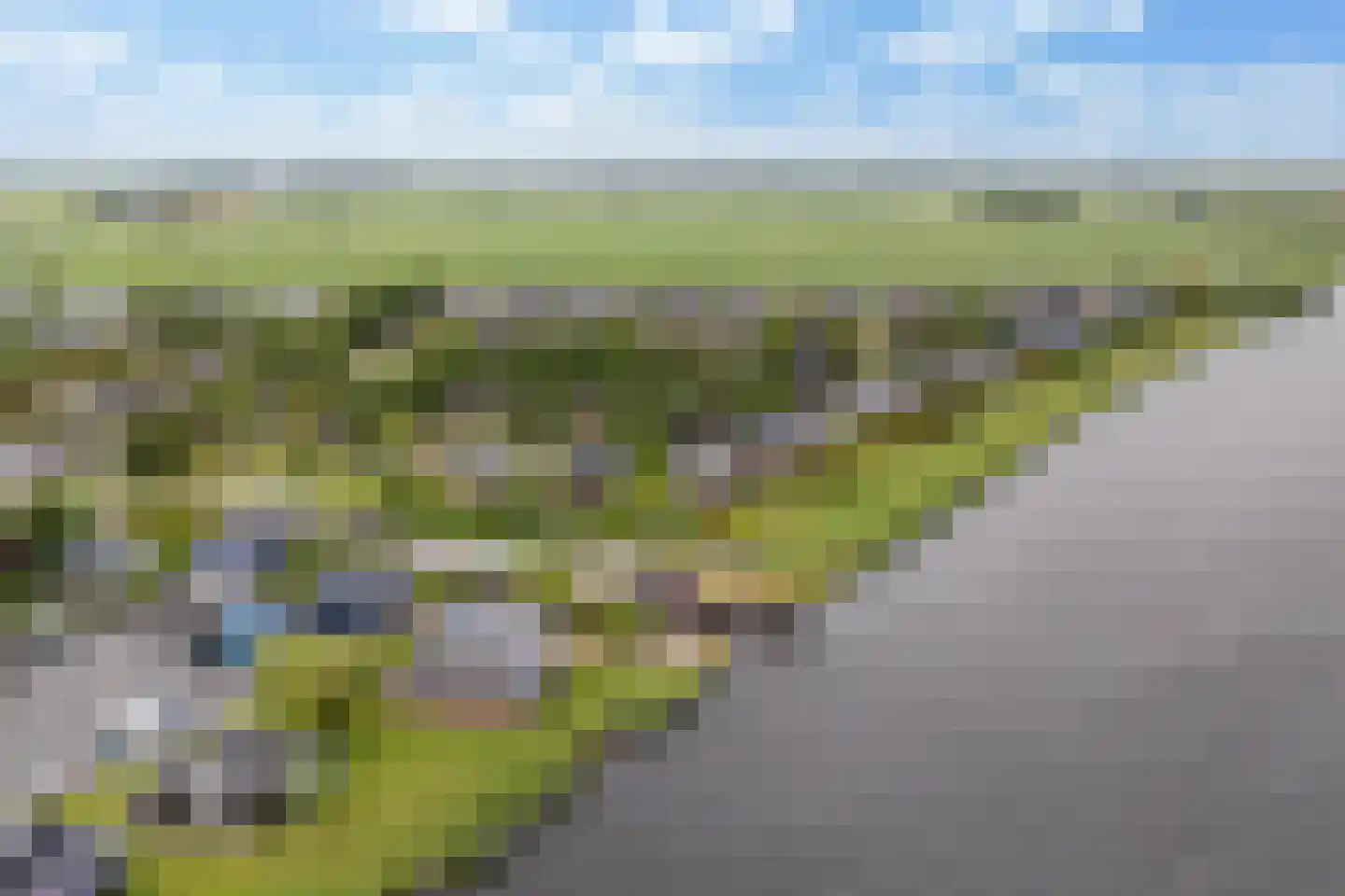 Yn 'e Lijte 64 Grou thumbnail 37