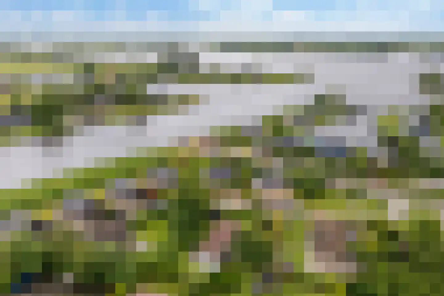 Yn 'e Lijte 64 Grou thumbnail 38