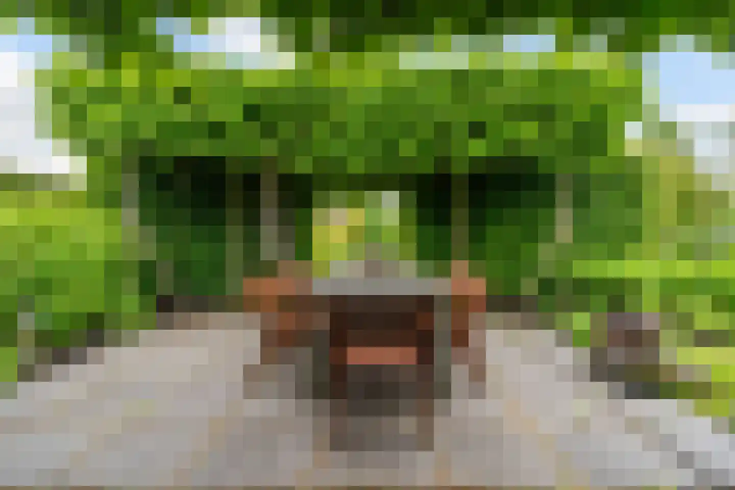 Yn 'e Lijte 64 Grou thumbnail 8
