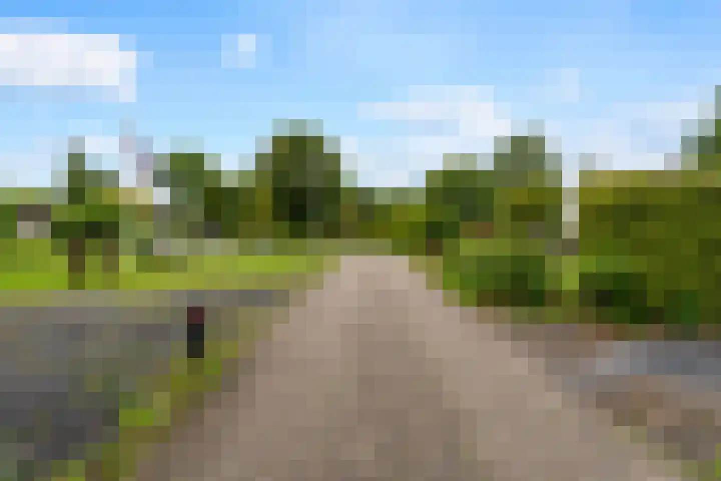 Yn 'e Lijte 64 Grou thumbnail 9