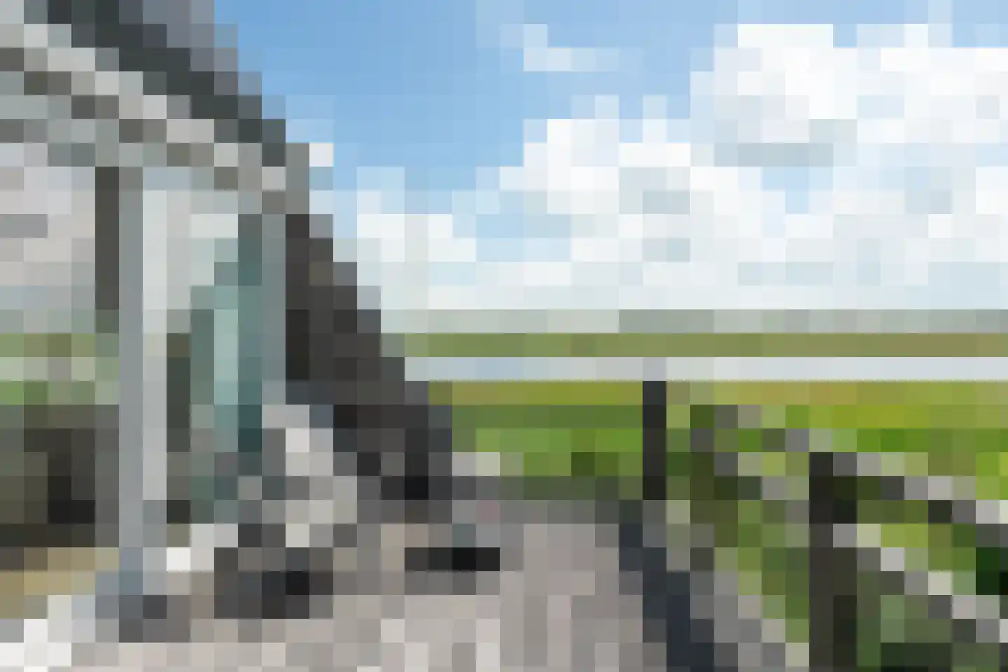 Yn 'e Lijte 81 Grou thumbnail 18