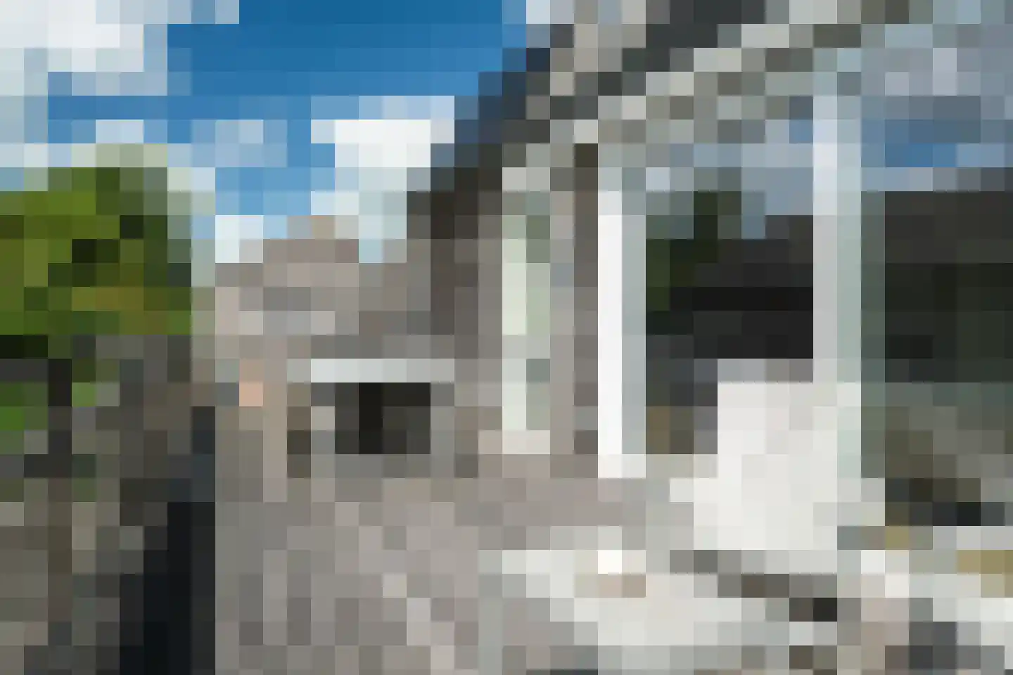 Yn 'e Lijte 81 Grou thumbnail 19