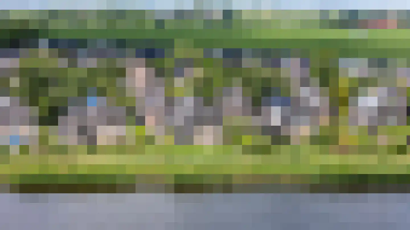 Yn 'e Lijte 81 Grou foto 2