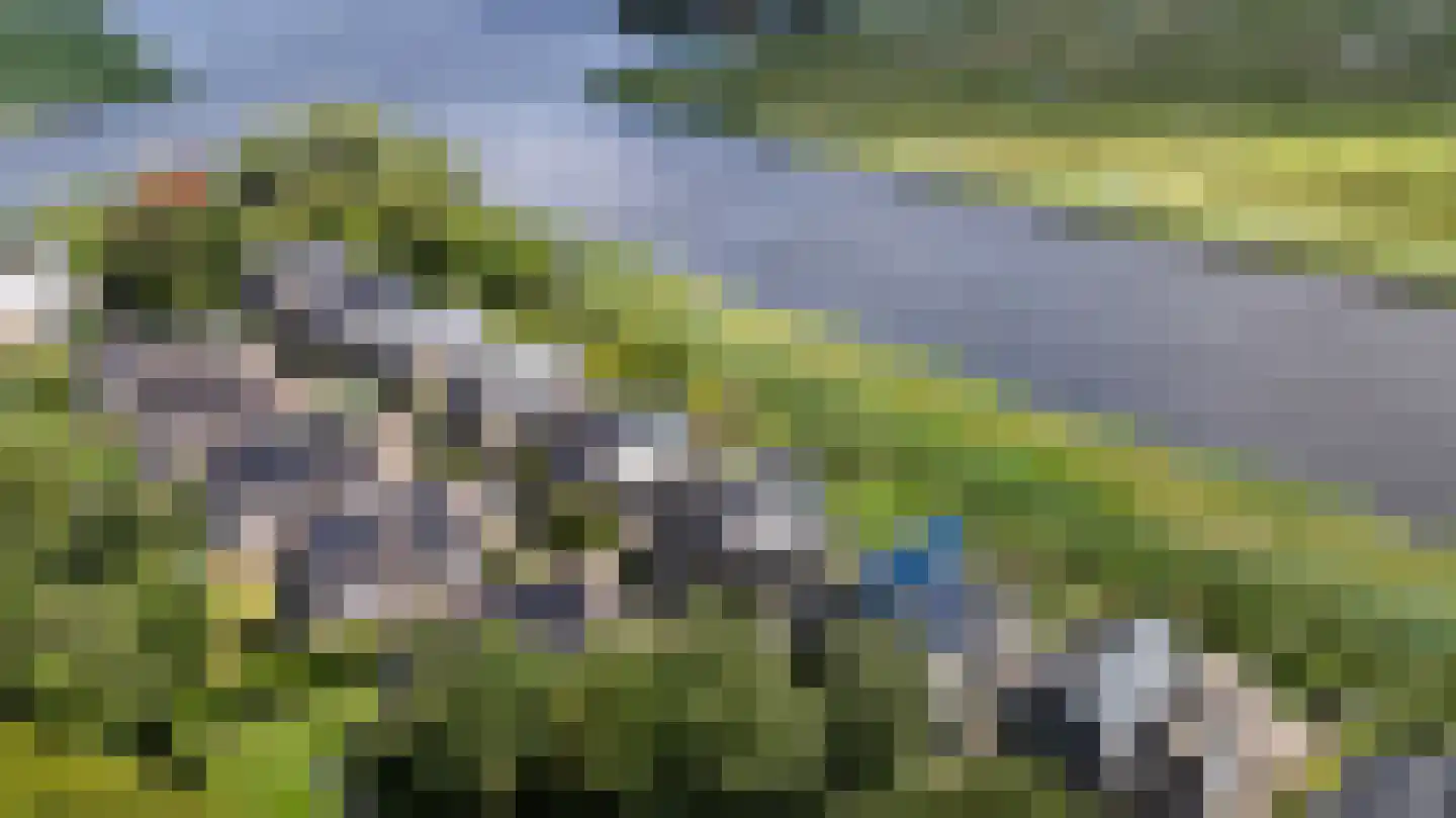 Yn 'e Lijte 81 Grou thumbnail 20