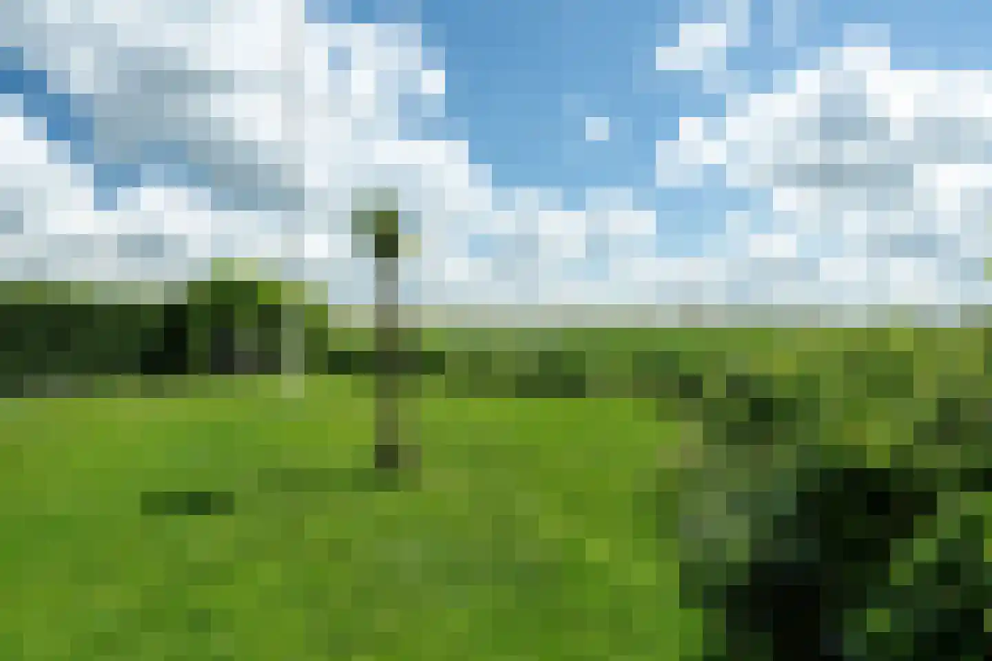 Yn 'e Lijte 81 Grou thumbnail 34
