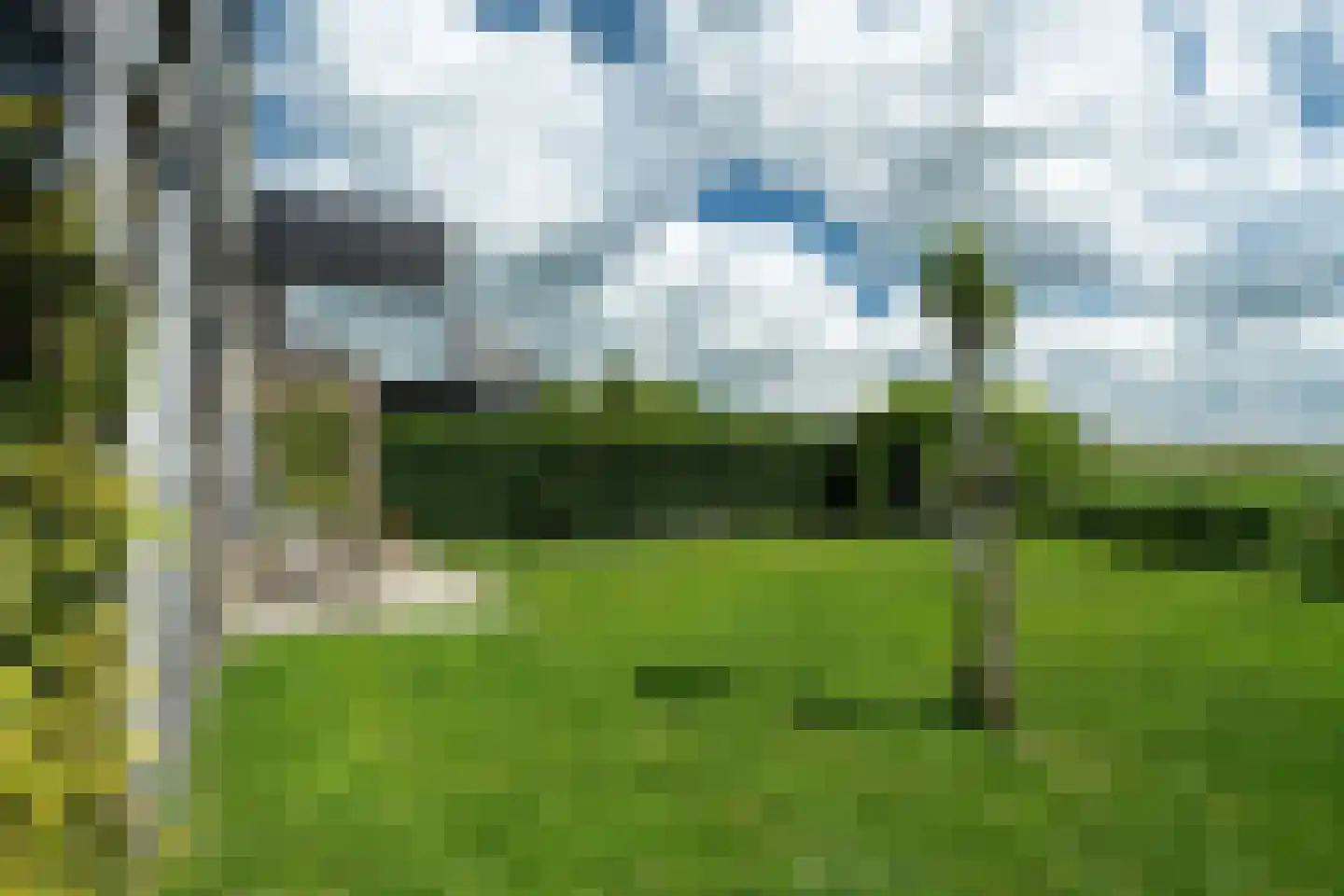 Yn 'e Lijte 81 Grou thumbnail 35