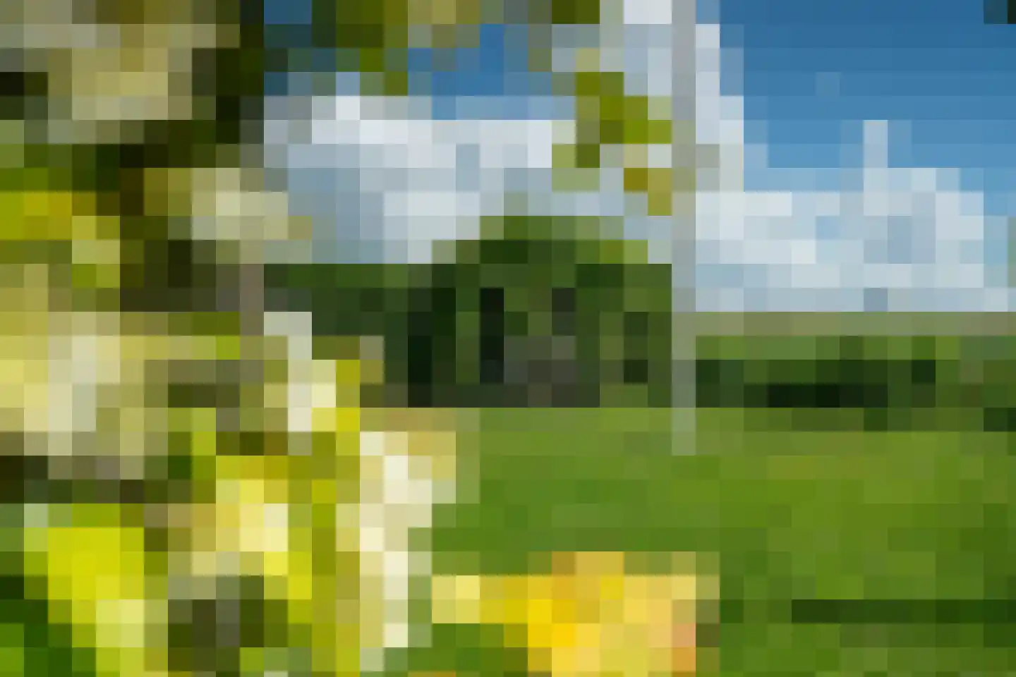 Yn 'e Lijte 81 Grou thumbnail 37