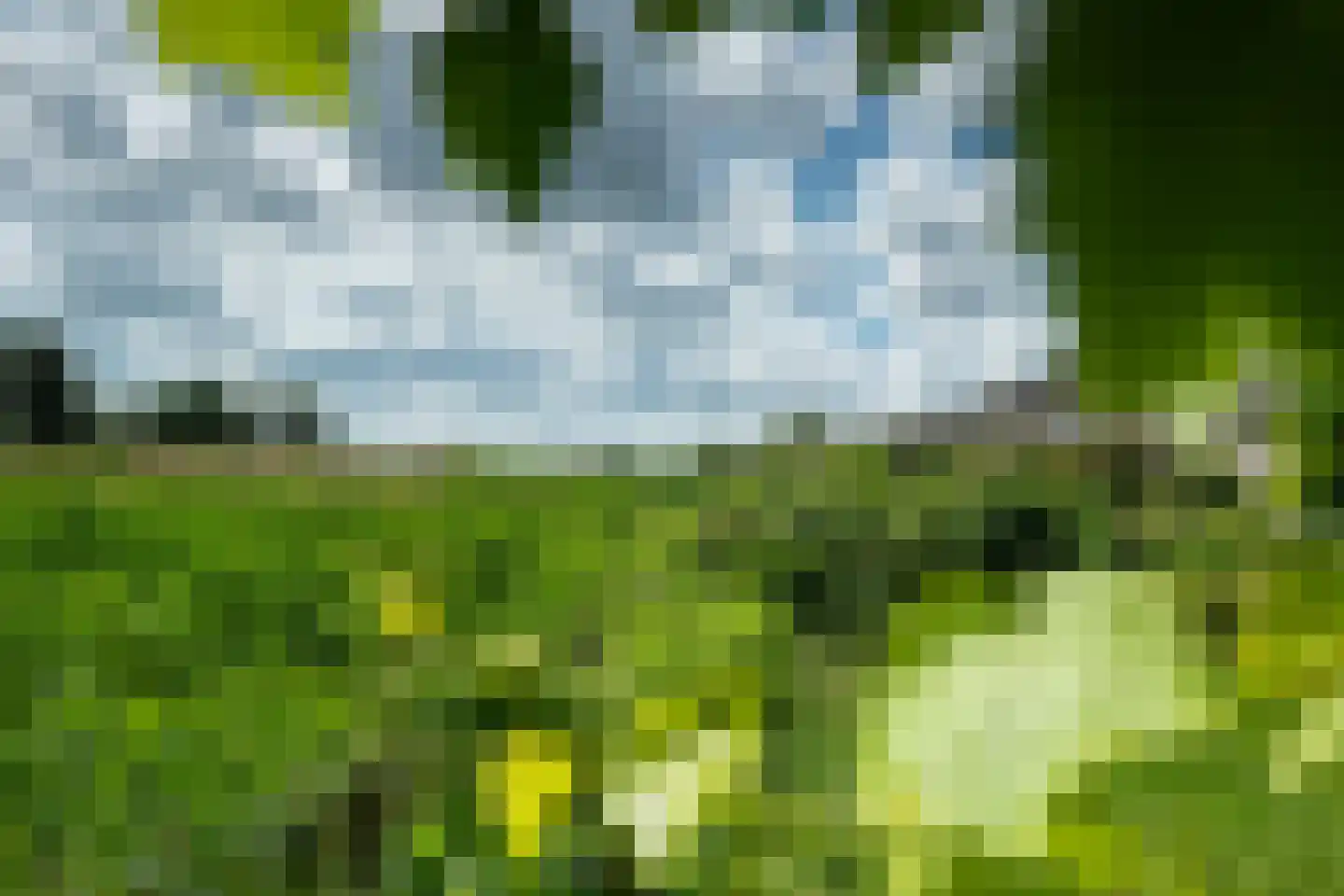 Yn 'e Lijte 81 Grou thumbnail 38