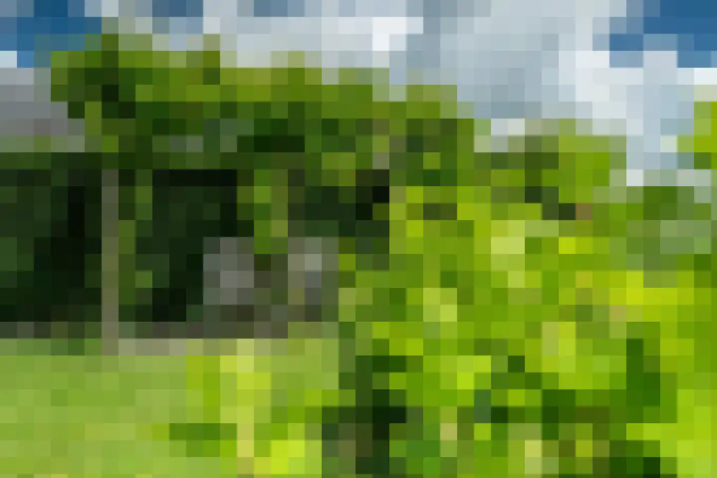 Yn 'e Lijte 81 Grou thumbnail 39