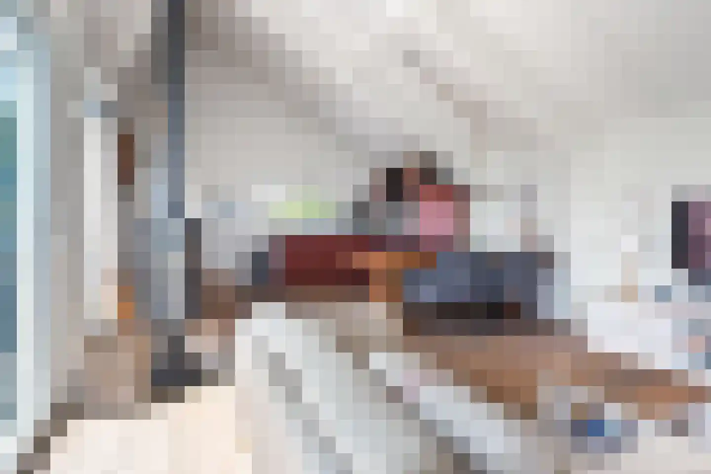 Yn 'e Lijte 81 Grou thumbnail 4