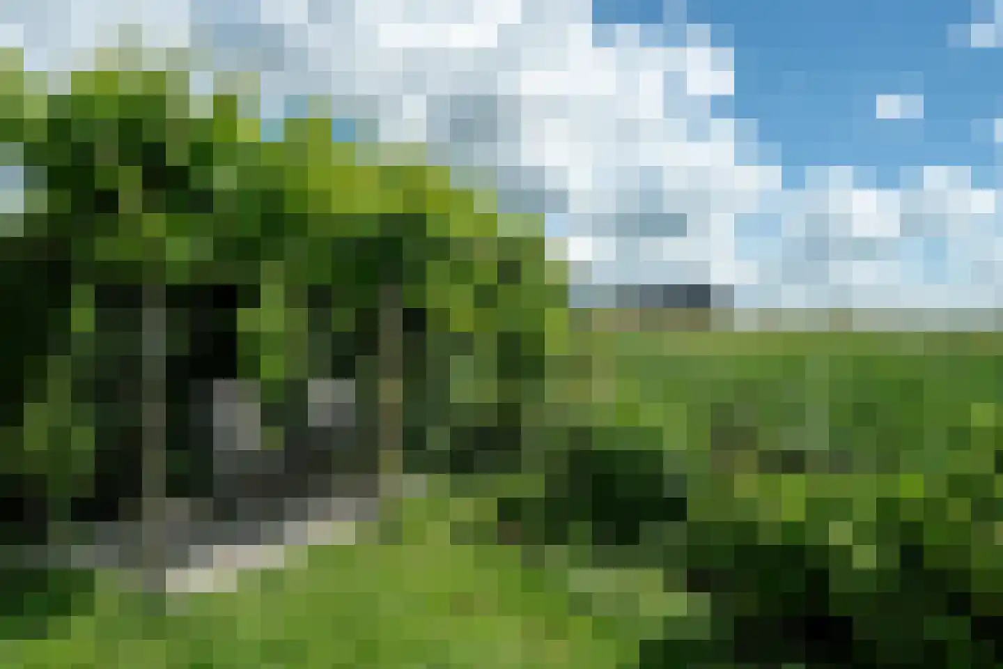 Yn 'e Lijte 81 Grou thumbnail 40
