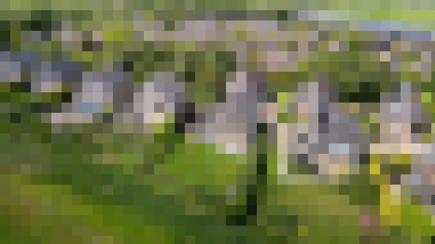 Yn 'e Lijte 81 Grou thumbnail 42