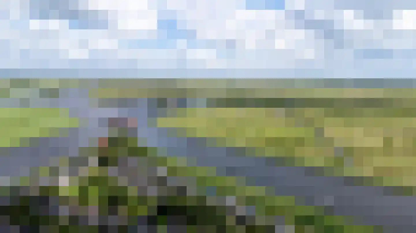 Yn 'e Lijte 81 Grou thumbnail 43