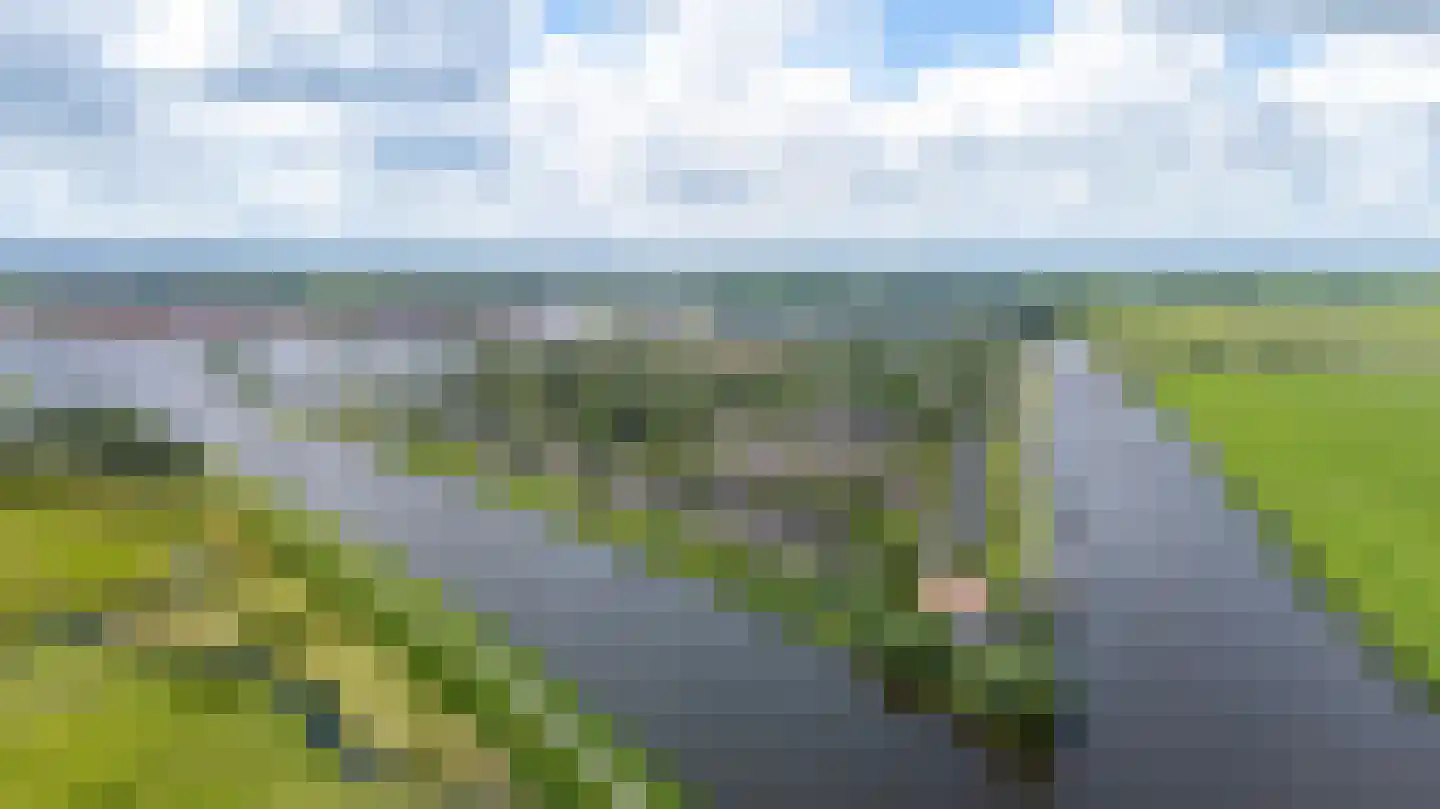 Yn 'e Lijte 81 Grou thumbnail 44