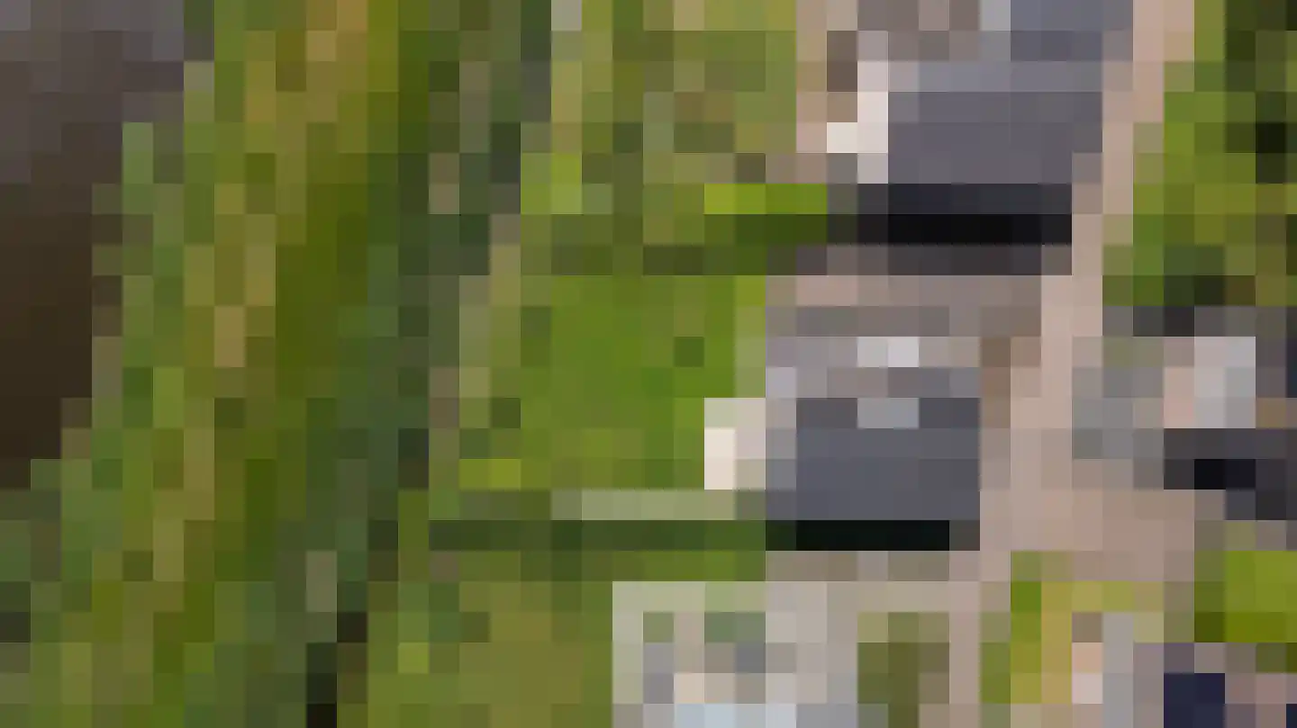 Yn 'e Lijte 81 Grou thumbnail 45