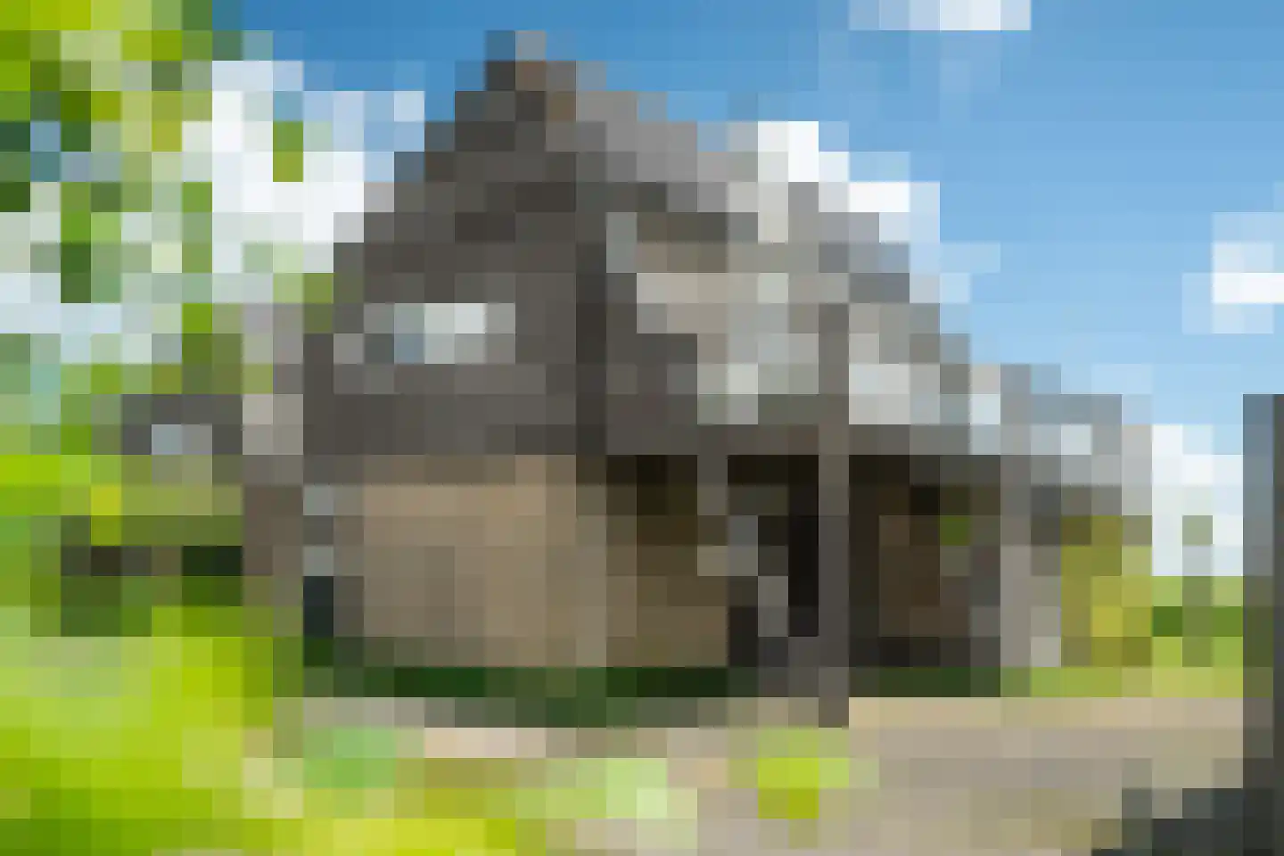 Yn 'e Lijte 81 Grou thumbnail 47