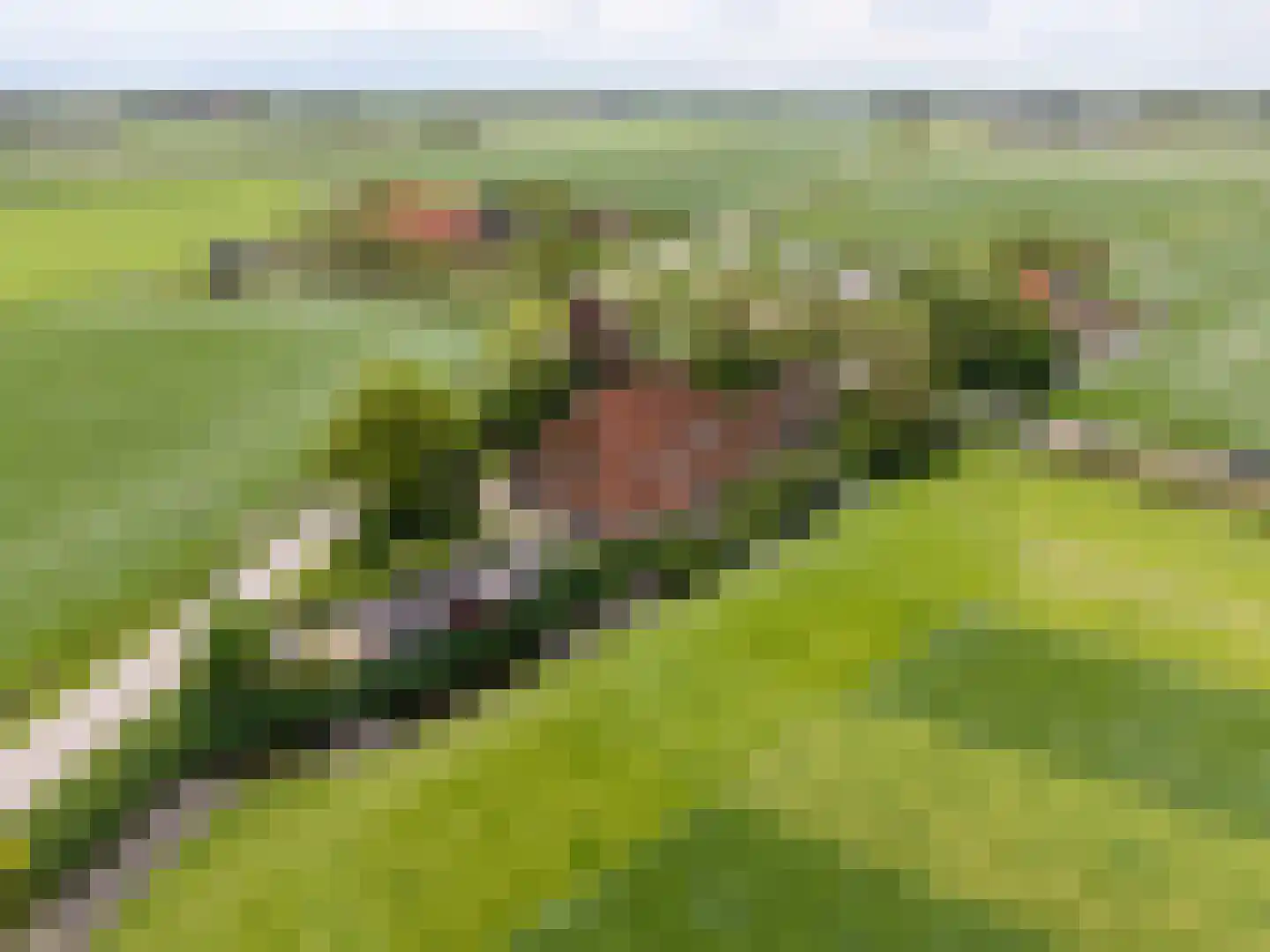 Yndyk 2 Boazum