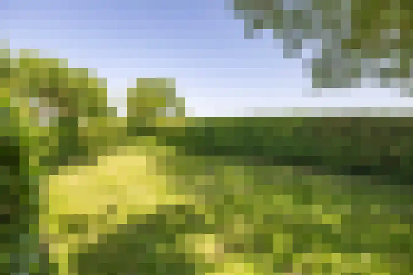 Yndyk 2 Boazum thumbnail 10