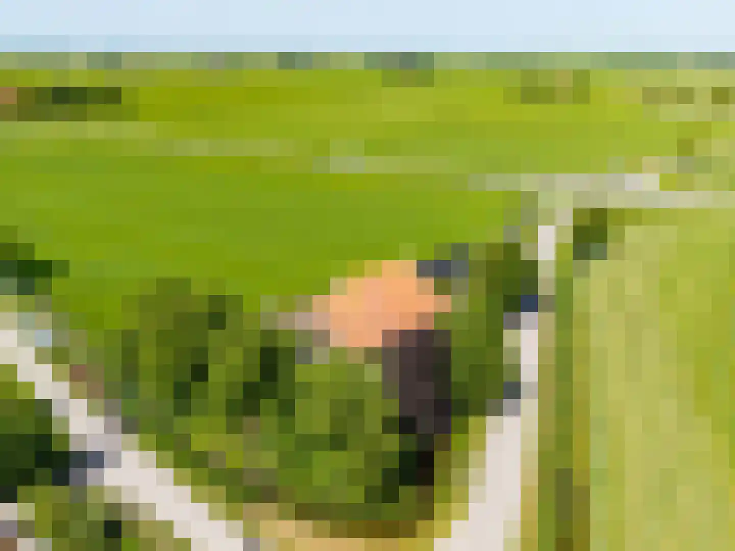 Yndyk 2 Boazum thumbnail 100