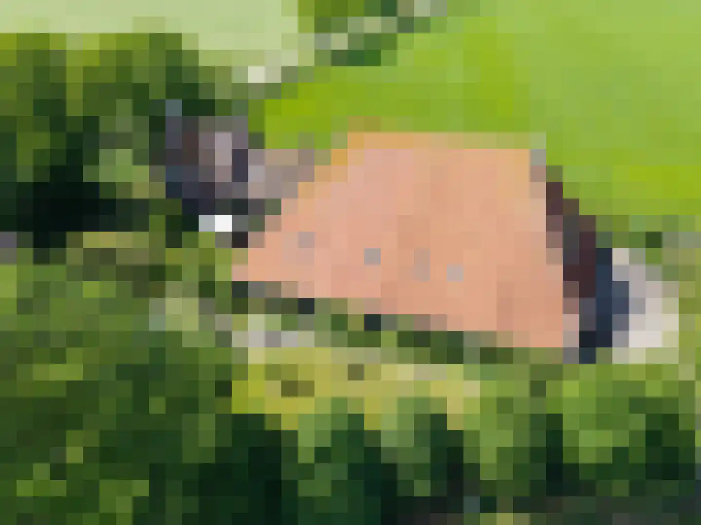 Yndyk 2 Boazum thumbnail 101