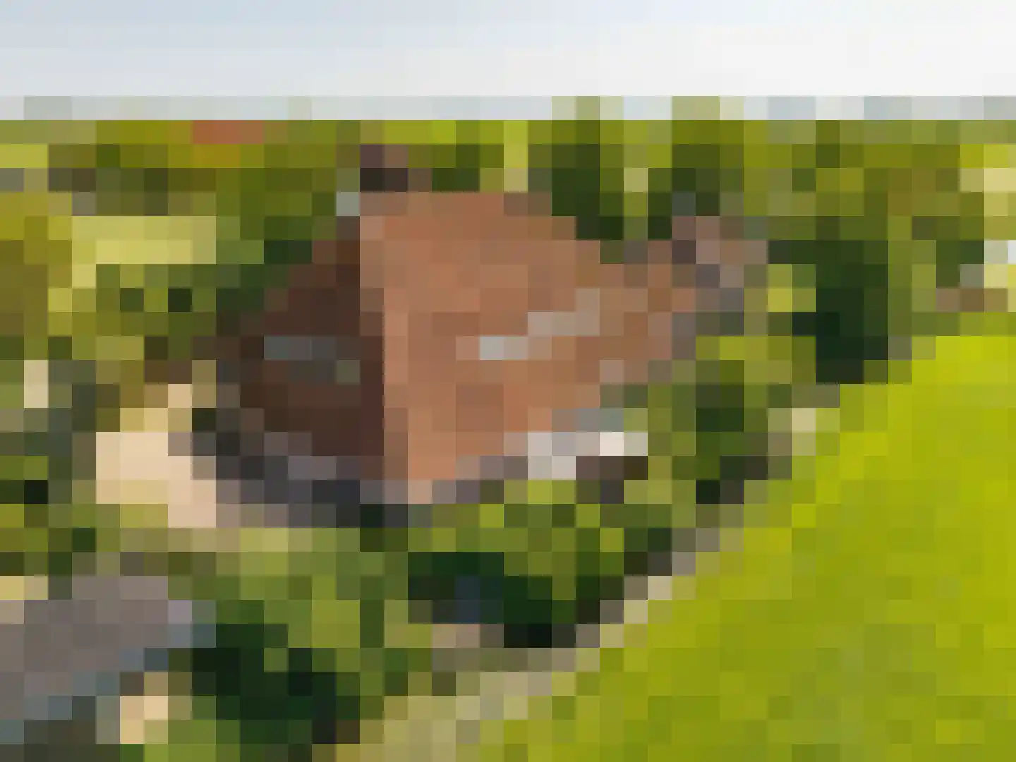 Yndyk 2 Boazum thumbnail 103