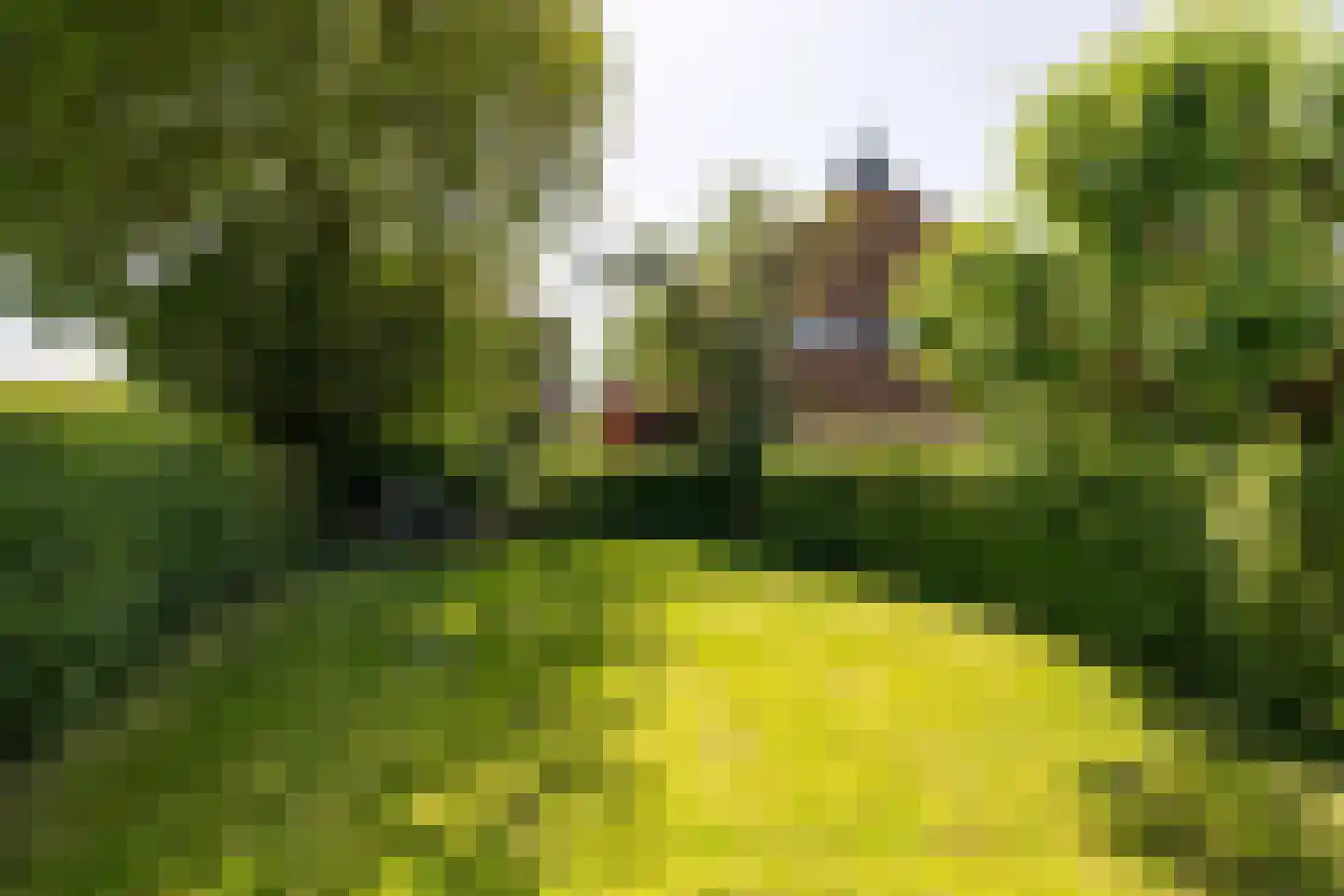 Yndyk 2 Boazum thumbnail 11