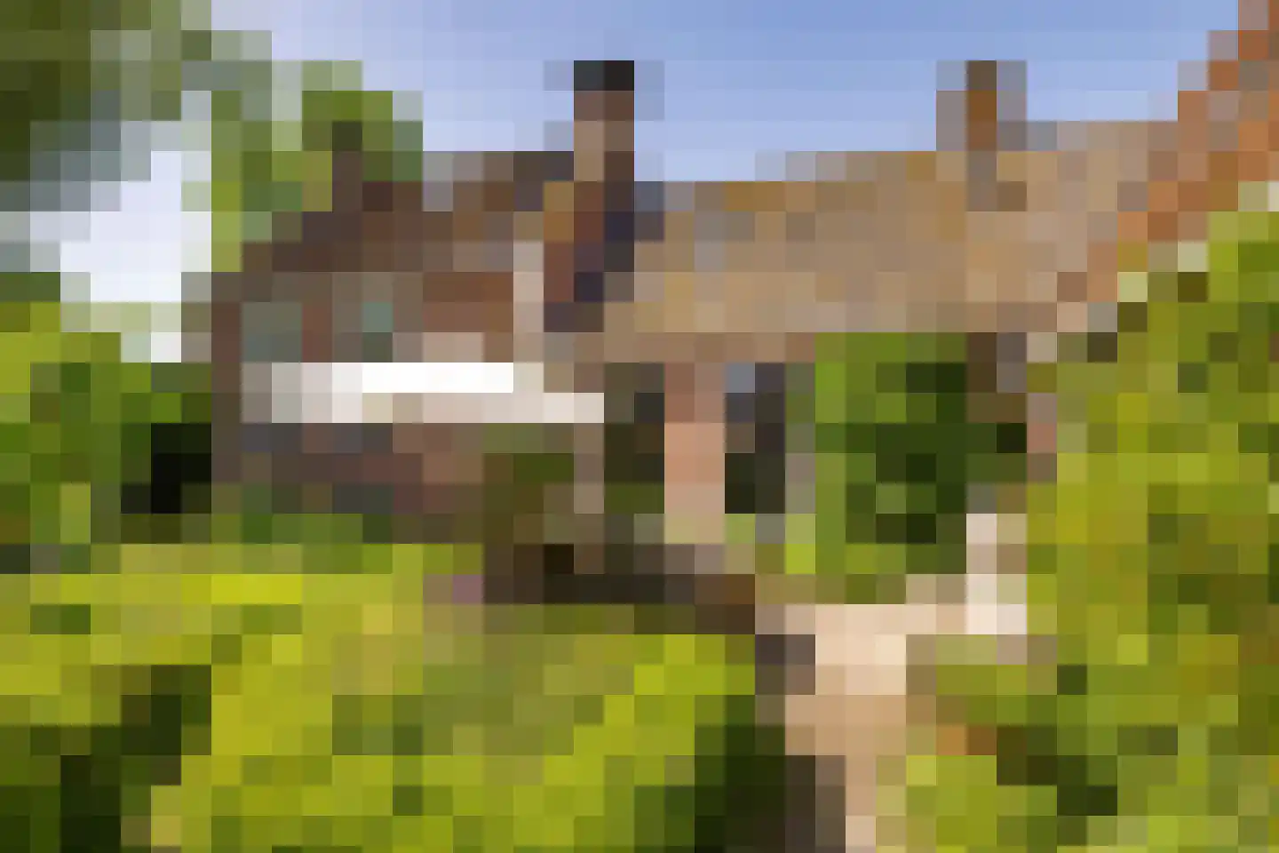 Yndyk 2 Boazum thumbnail 14