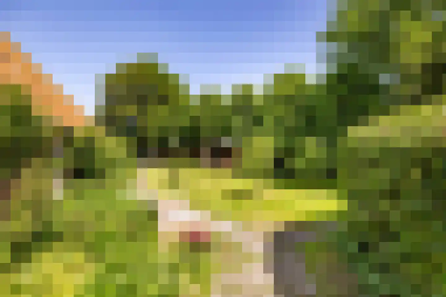 Yndyk 2 Boazum thumbnail 16