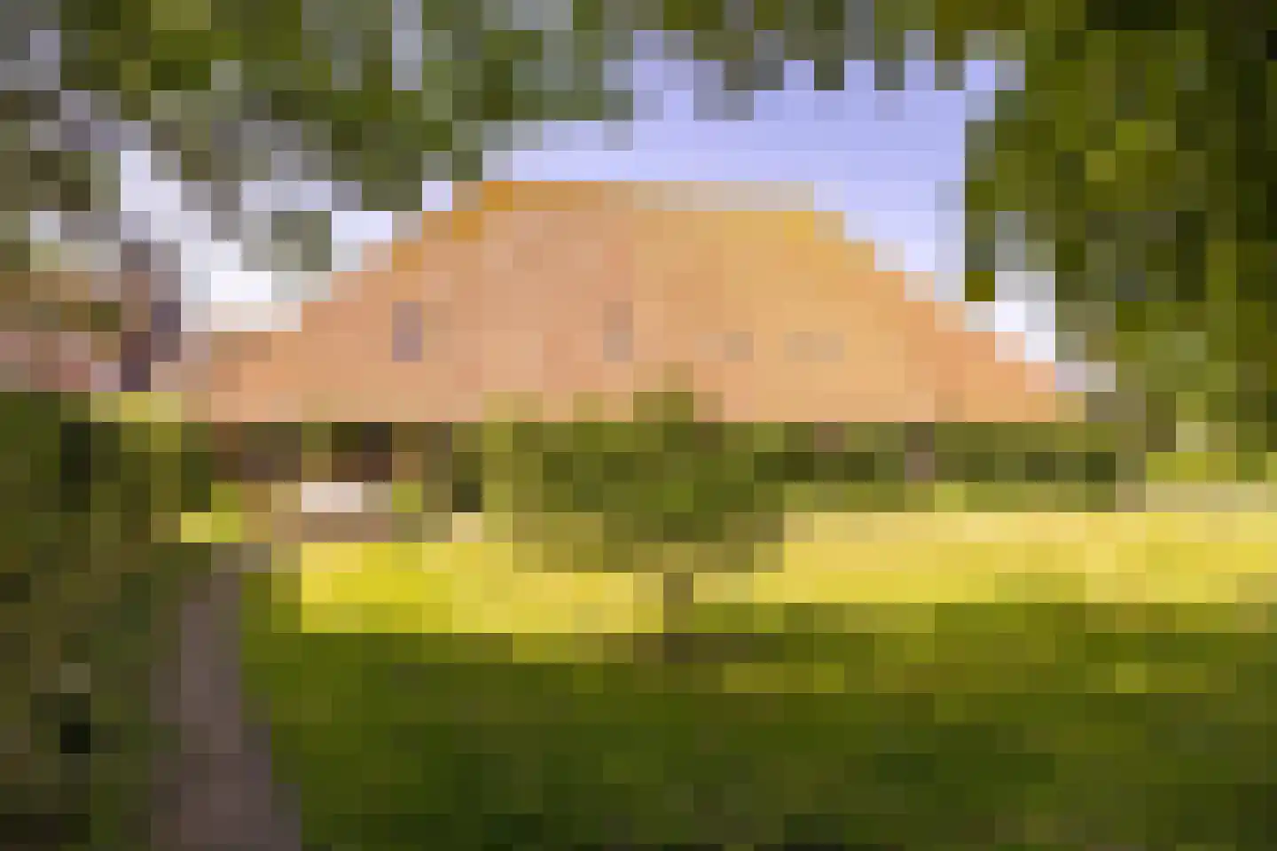 Yndyk 2 Boazum thumbnail 17