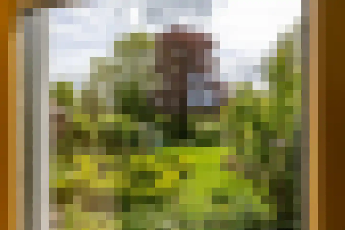 Yndyk 2 Boazum thumbnail 30