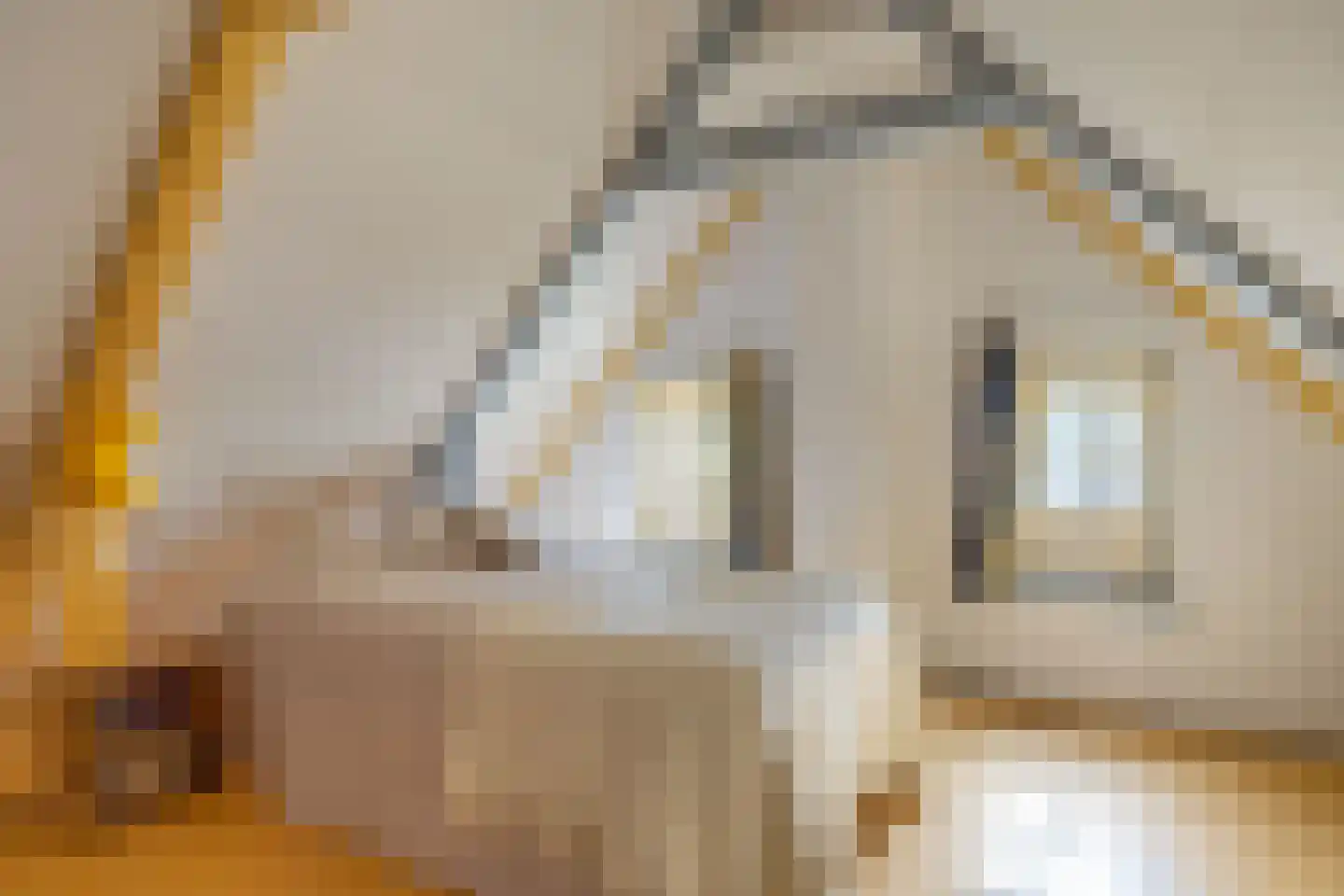 Yndyk 2 Boazum thumbnail 34