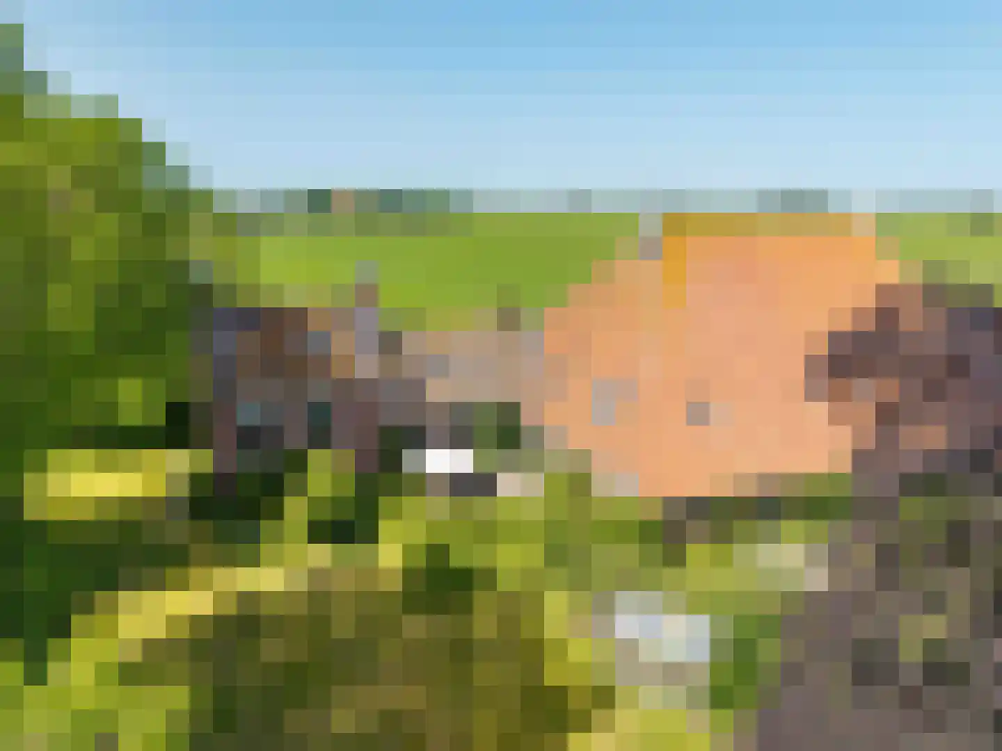 Yndyk 2 Boazum thumbnail 5