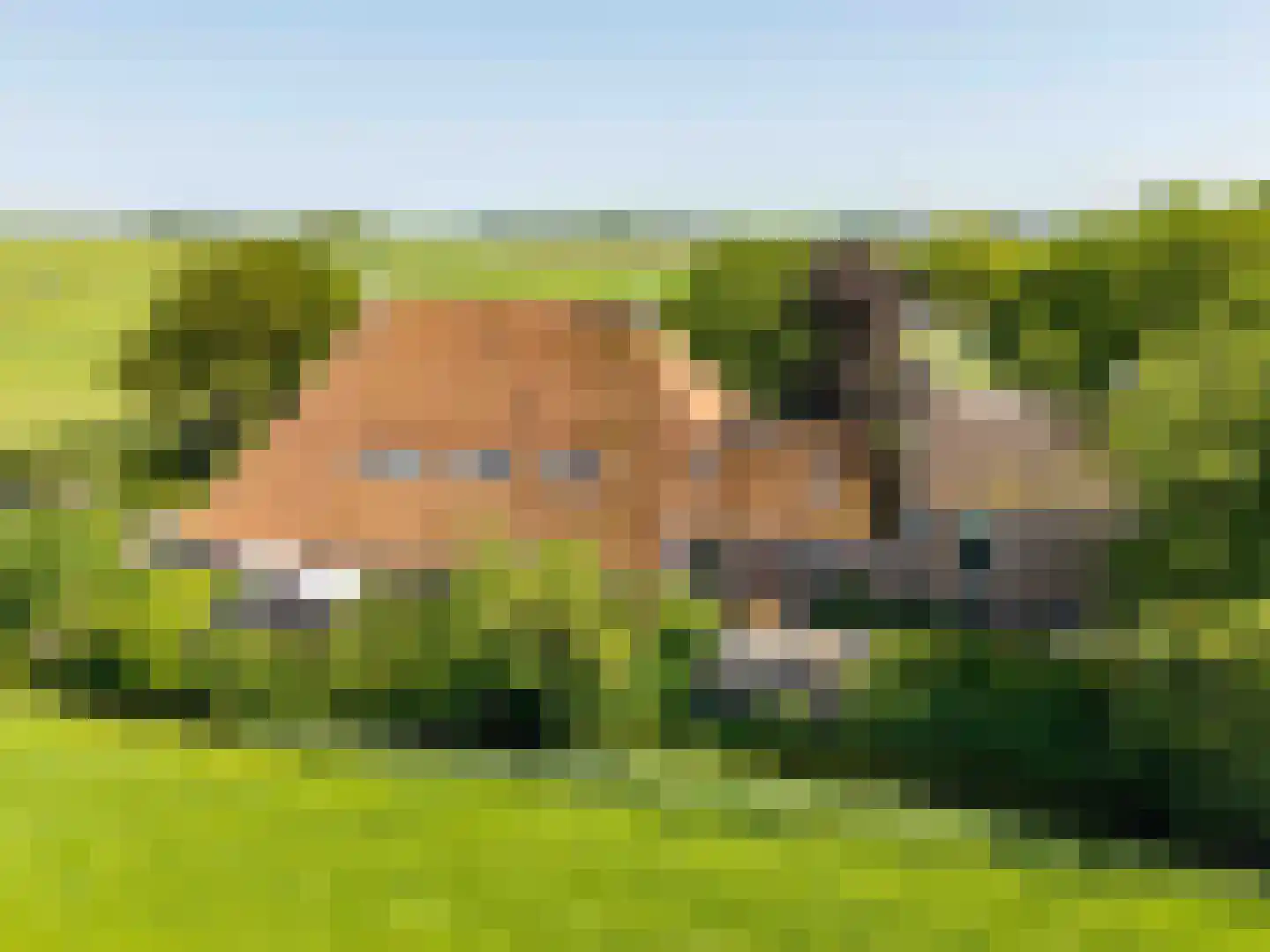 Yndyk 2 Boazum thumbnail 6
