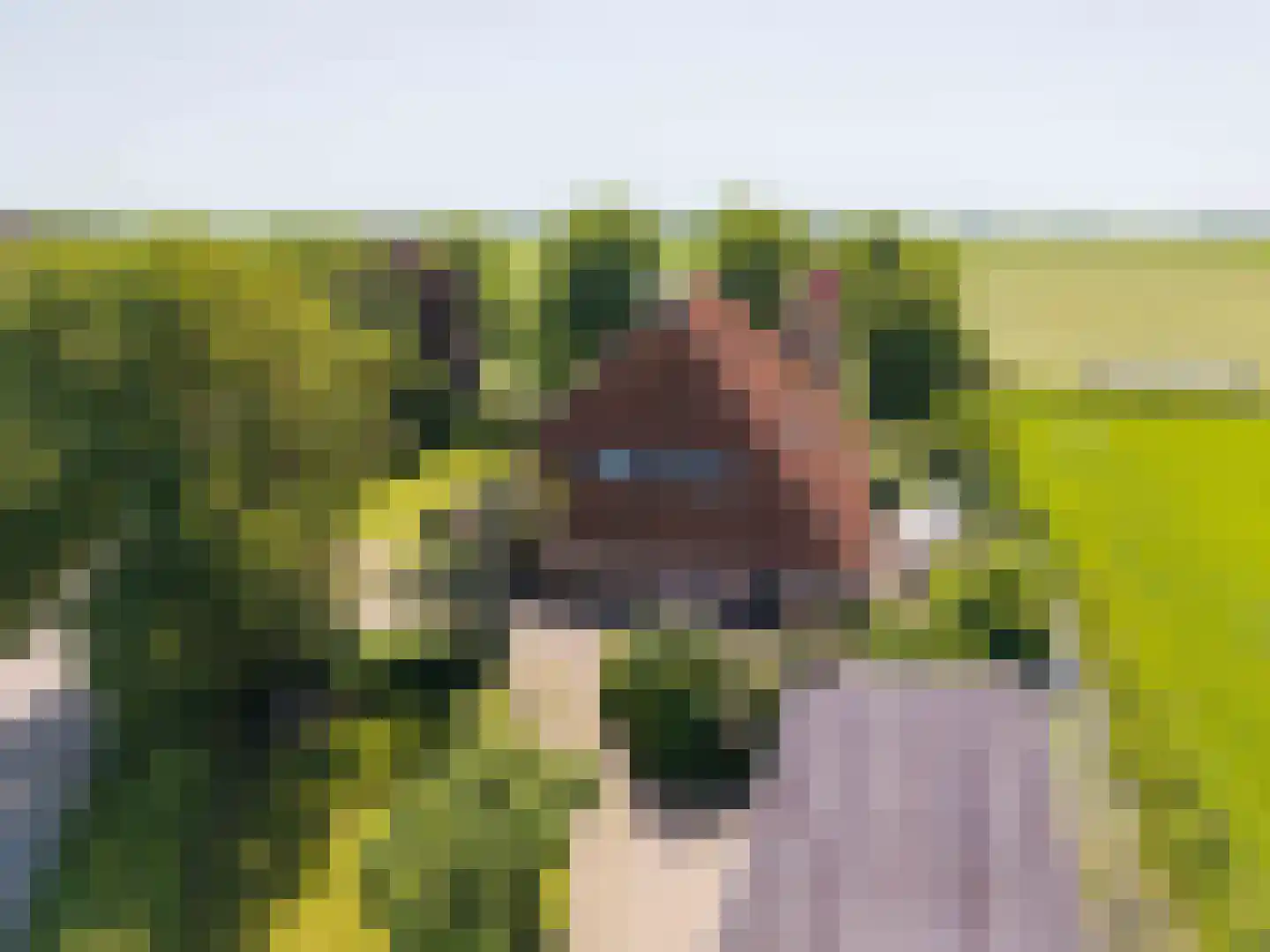 Yndyk 2 Boazum thumbnail 8