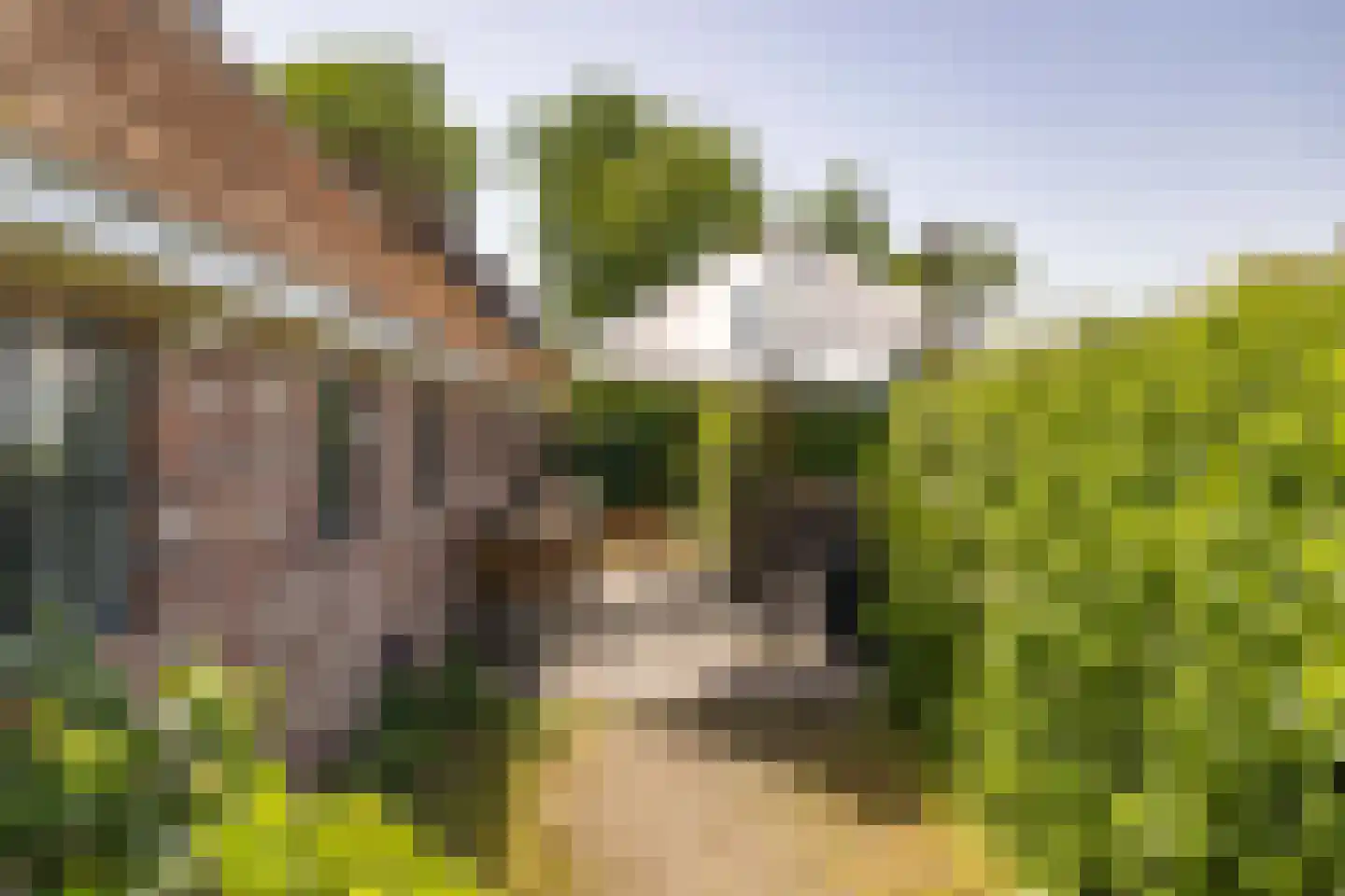 Yndyk 2 Boazum thumbnail 84