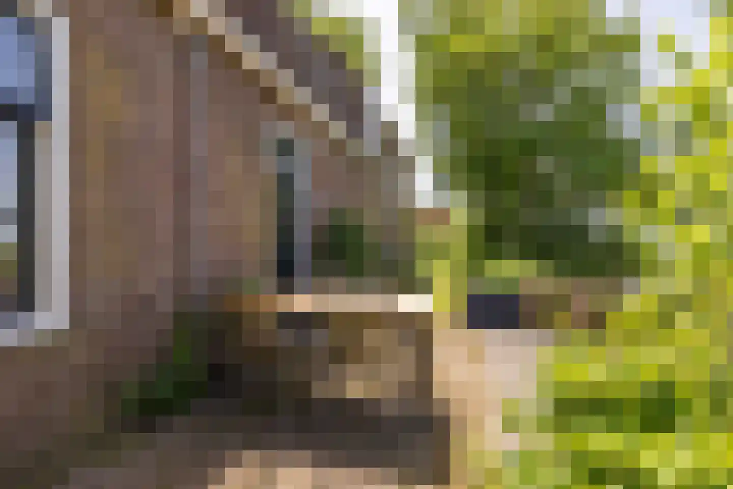 Yndyk 2 Boazum thumbnail 86