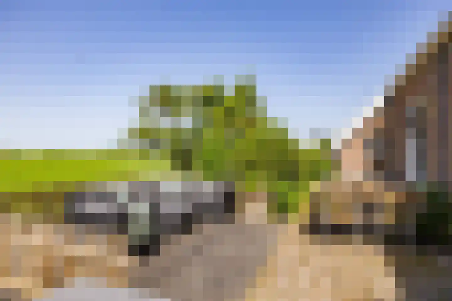 Yndyk 2 Boazum thumbnail 88