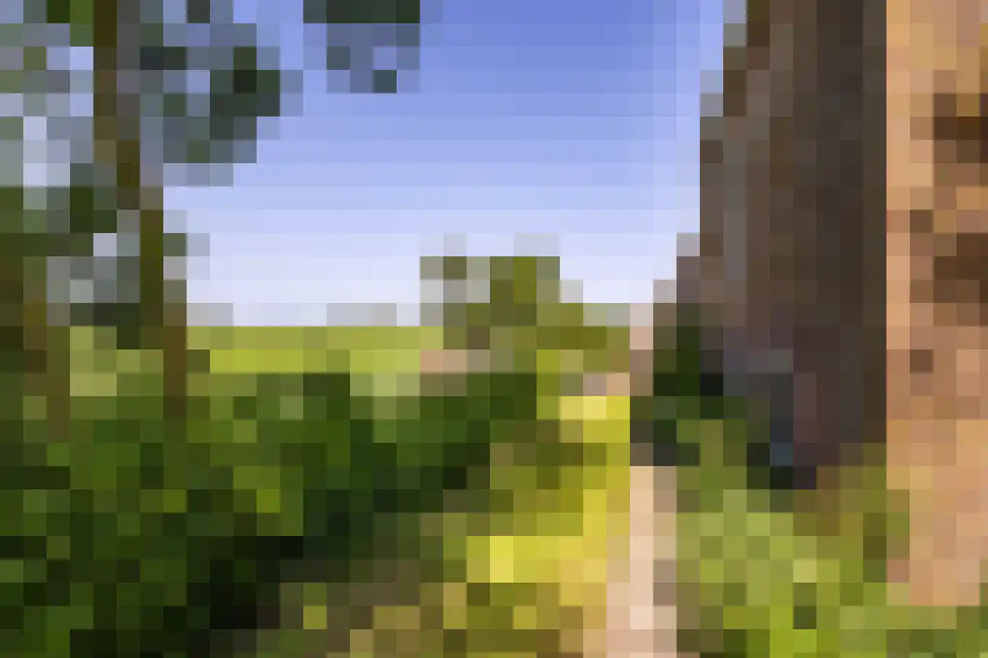 Yndyk 2 Boazum thumbnail 89