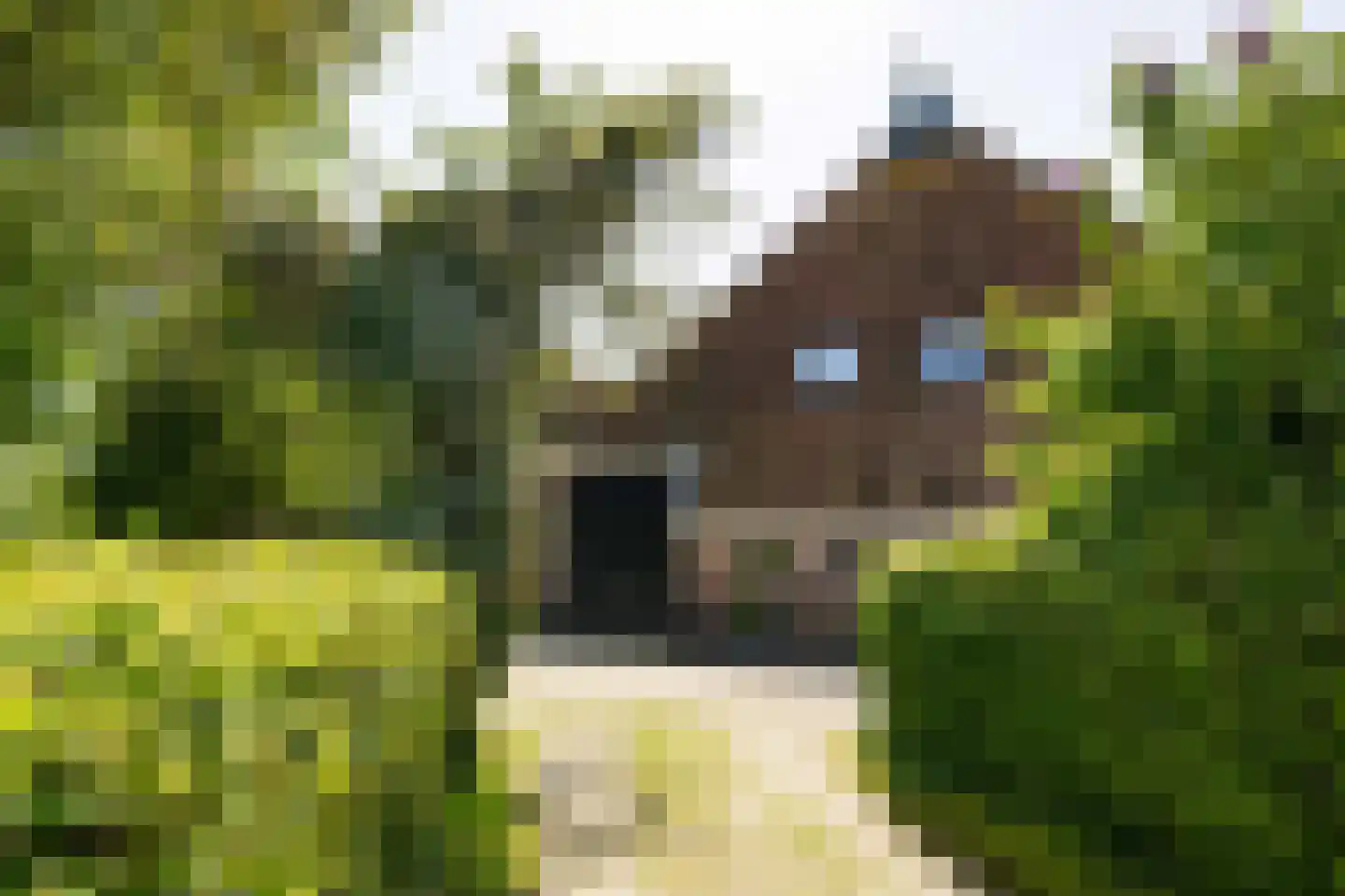 Yndyk 2 Boazum thumbnail 9