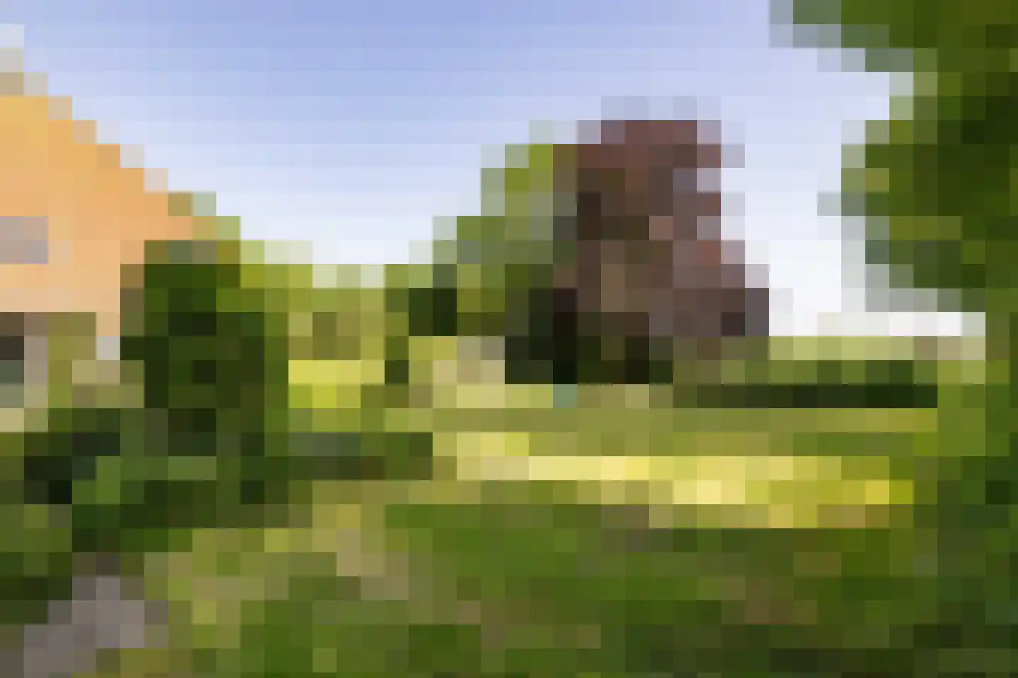 Yndyk 2 Boazum thumbnail 92
