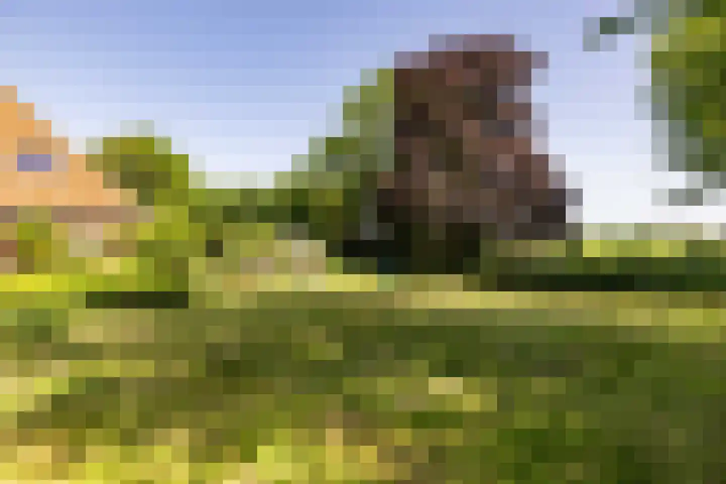 Yndyk 2 Boazum thumbnail 93