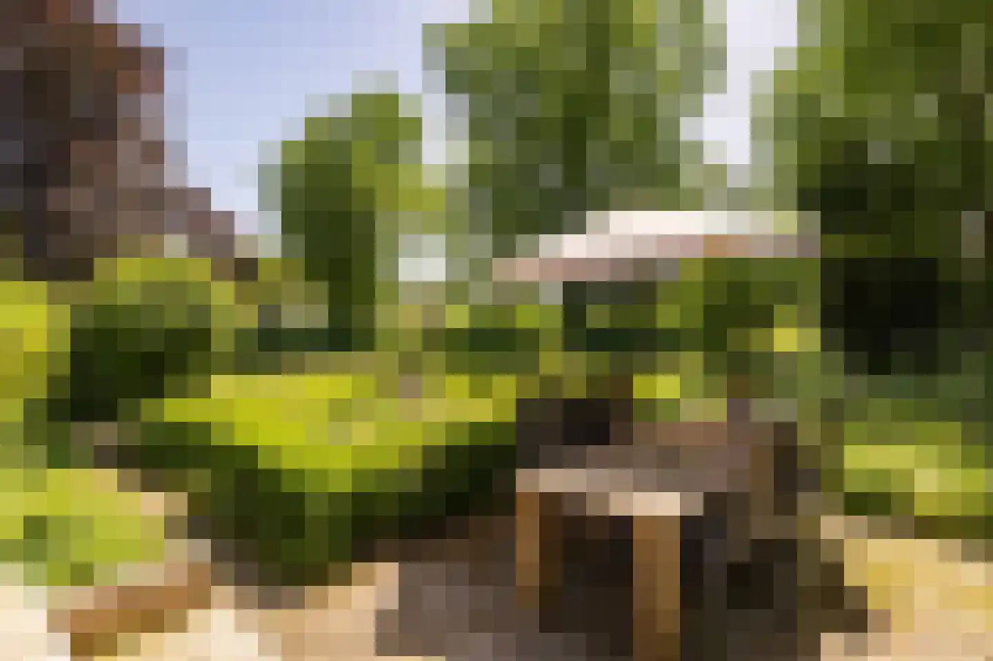 Yndyk 2 Boazum thumbnail 97