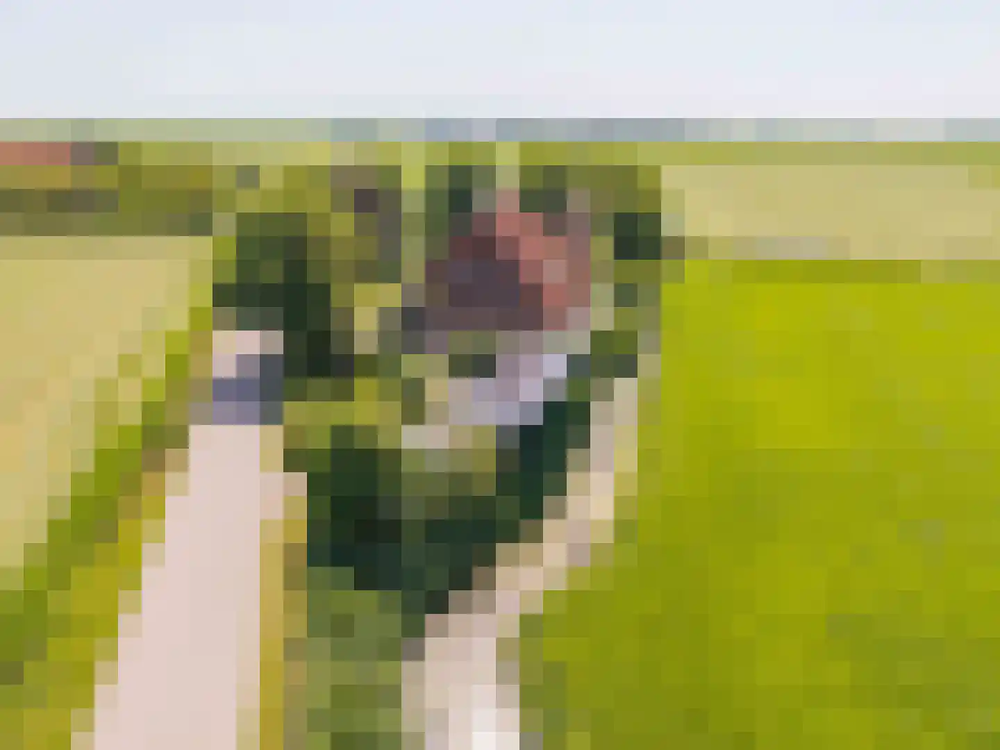 Yndyk 2 Boazum thumbnail 98