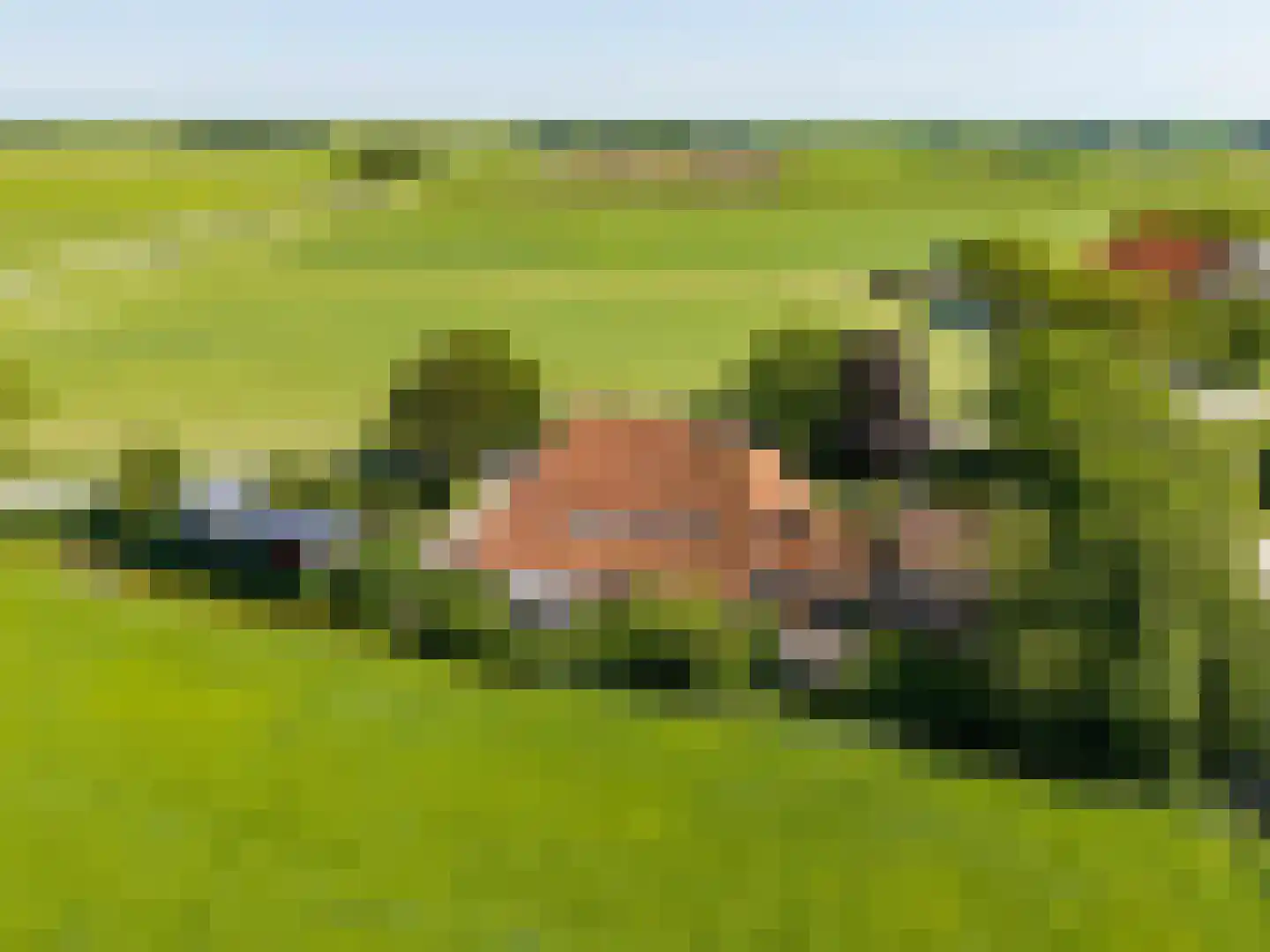 Yndyk 2 Boazum thumbnail 99