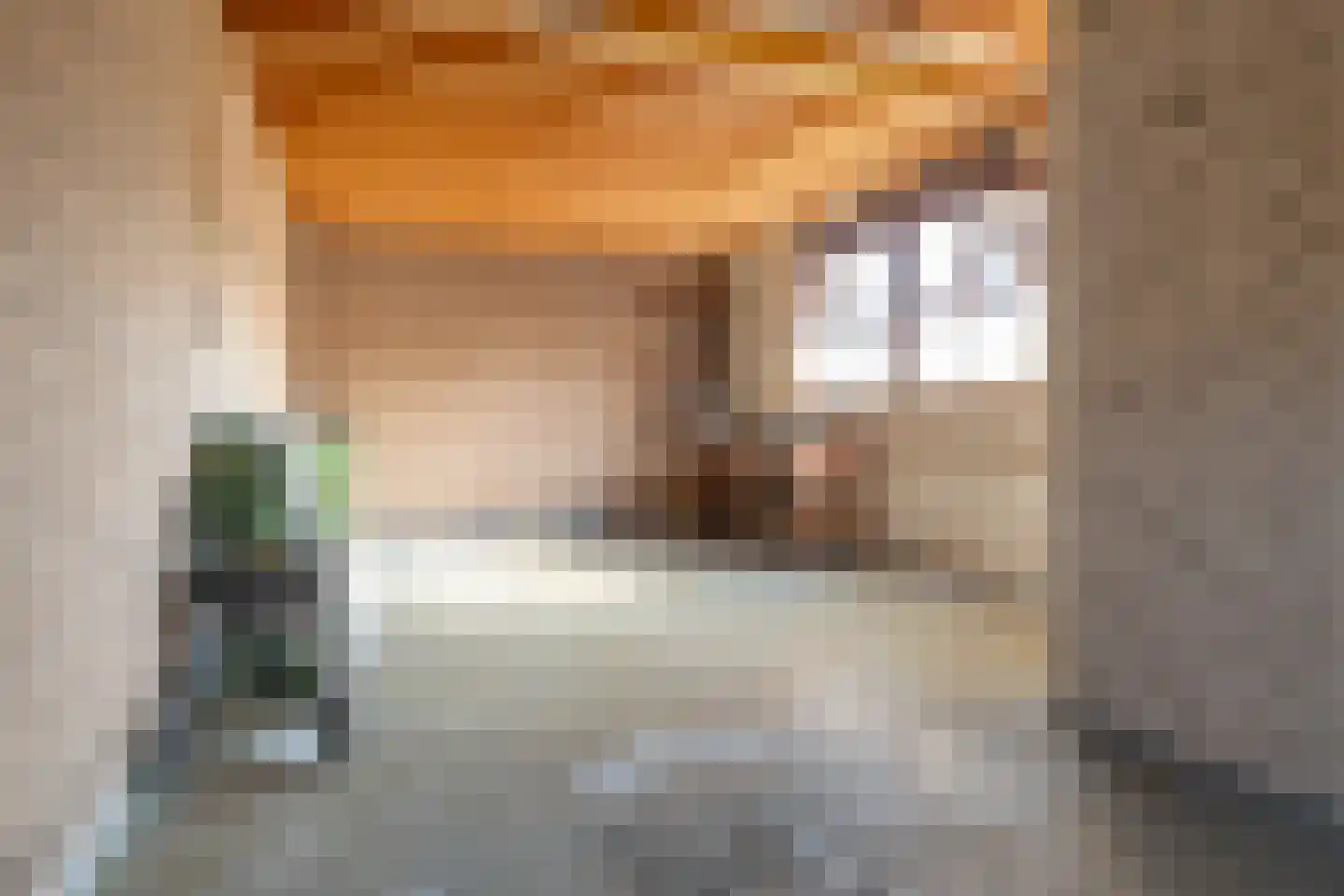 Yndyksterleane 1 Woudsend thumbnail 24