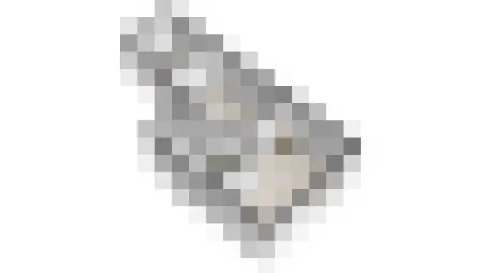 Yndyksterleane 1 Woudsend thumbnail 30