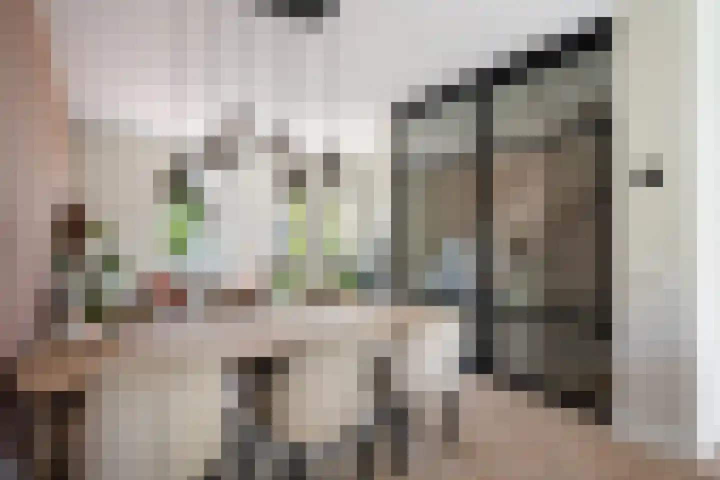 Yoka Berrettyhof 8 Rotterdam thumbnail 12