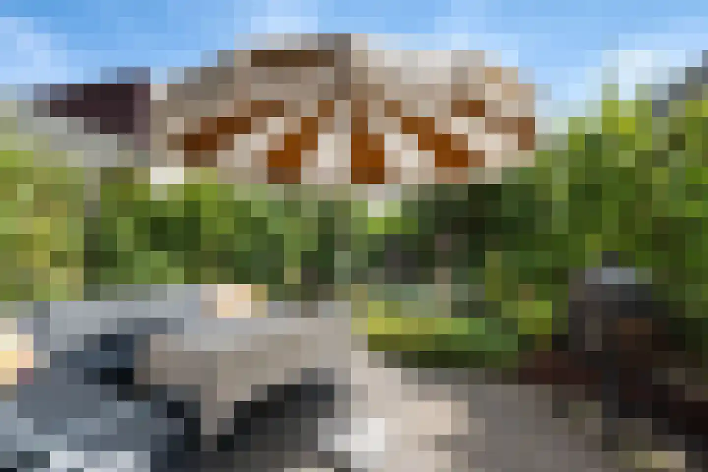 Yoka Berrettyhof 8 Rotterdam thumbnail 21