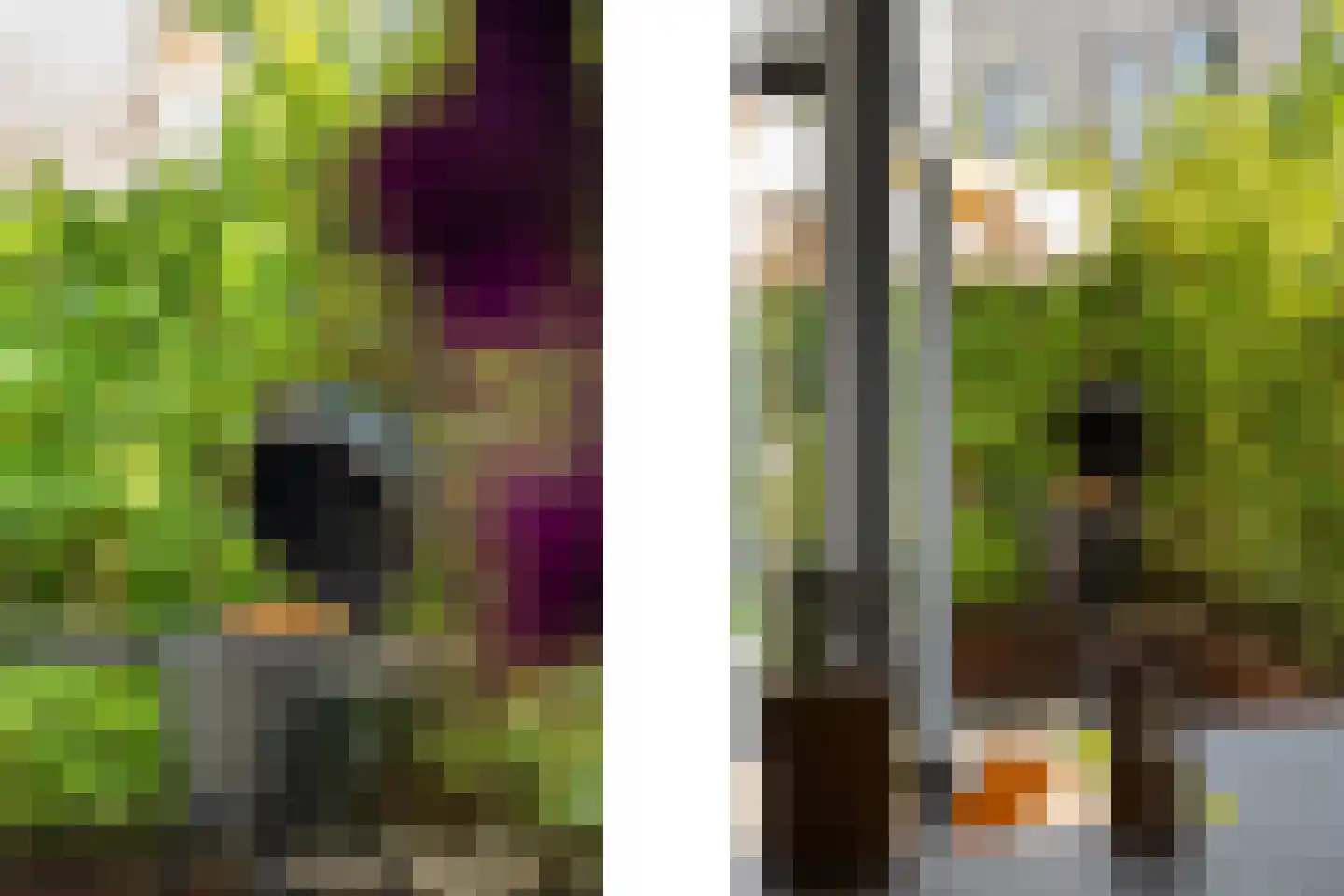 Yoka Berrettyhof 8 Rotterdam thumbnail 22