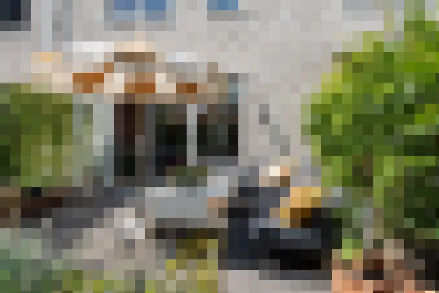 Yoka Berrettyhof 8 Rotterdam thumbnail 25